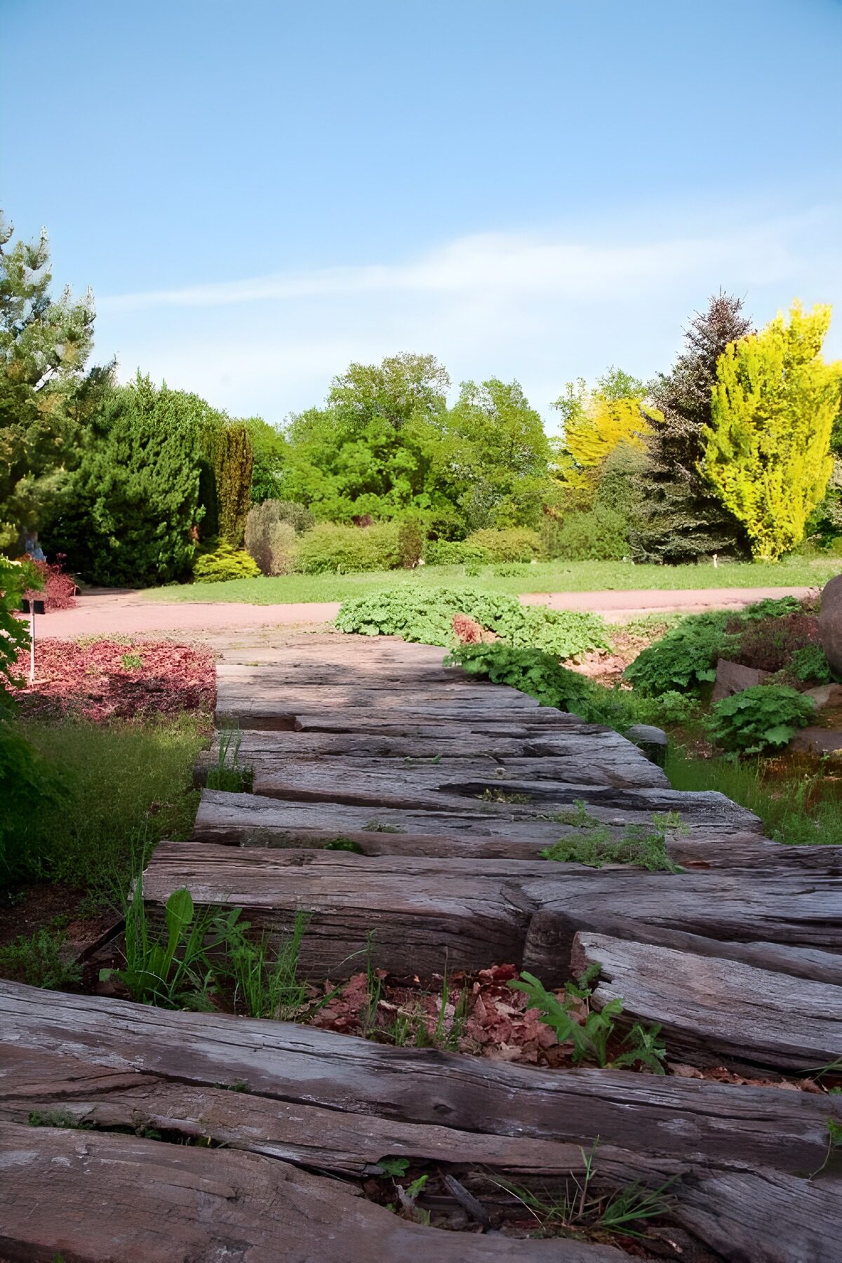 OCCOM1640557: Tranquil Garden Pathway