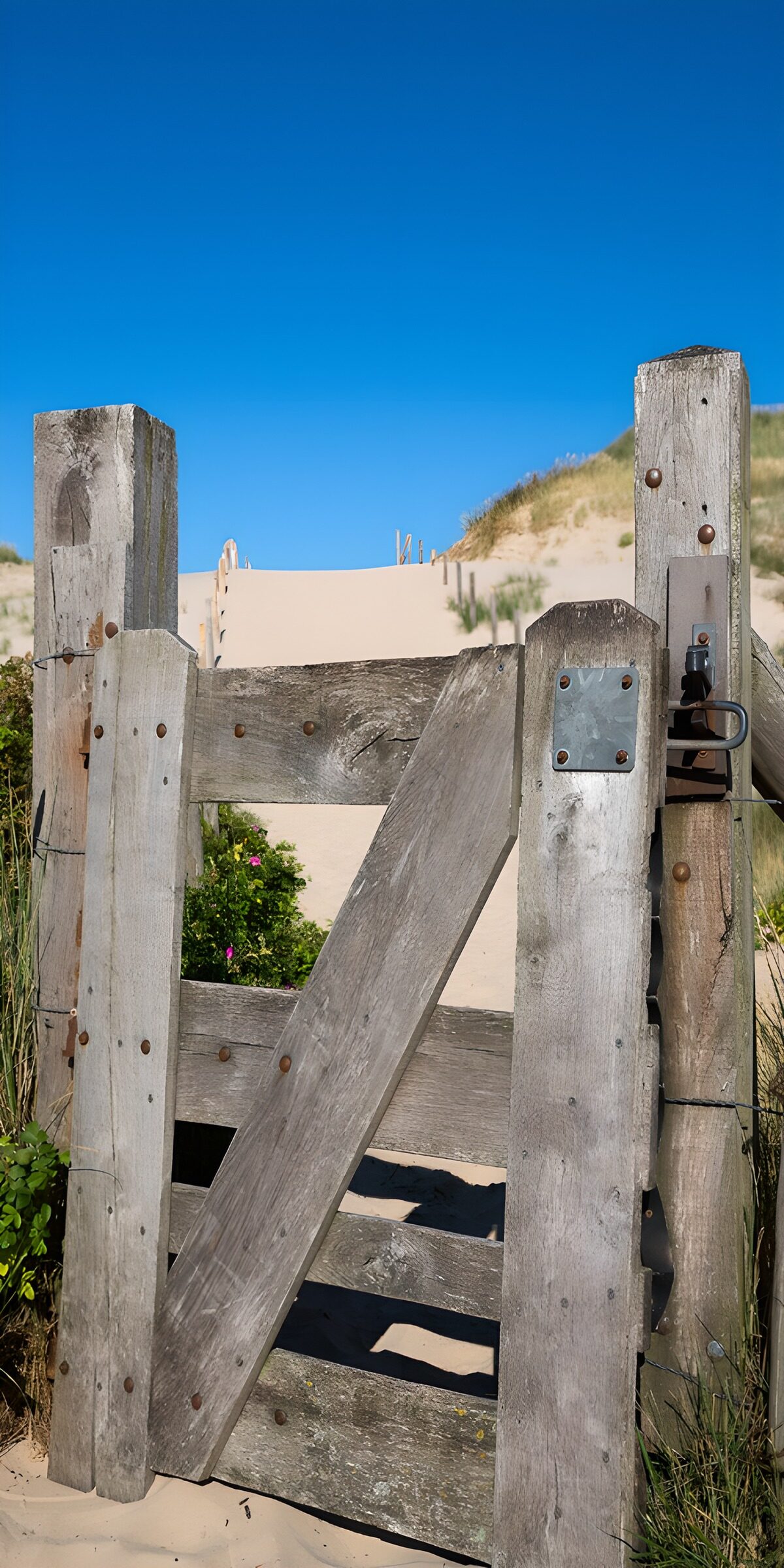 OCCOM5873179: Rustic Beach Gate to Sandy Dunes