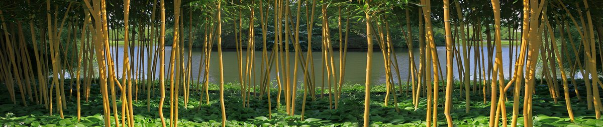 OCCOM7561900: Golden Bamboo Forest by the River