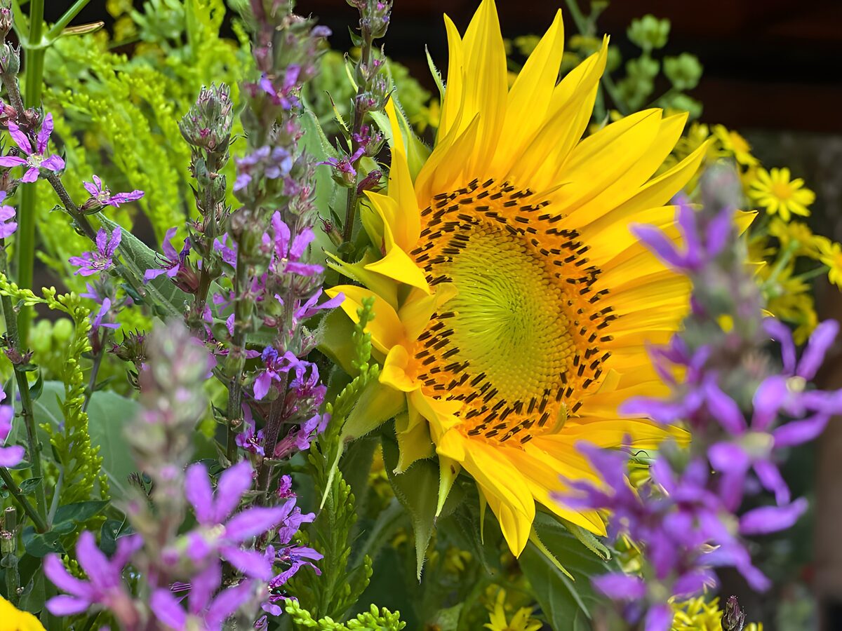 Bright Sunflower Bouquet Close-Up