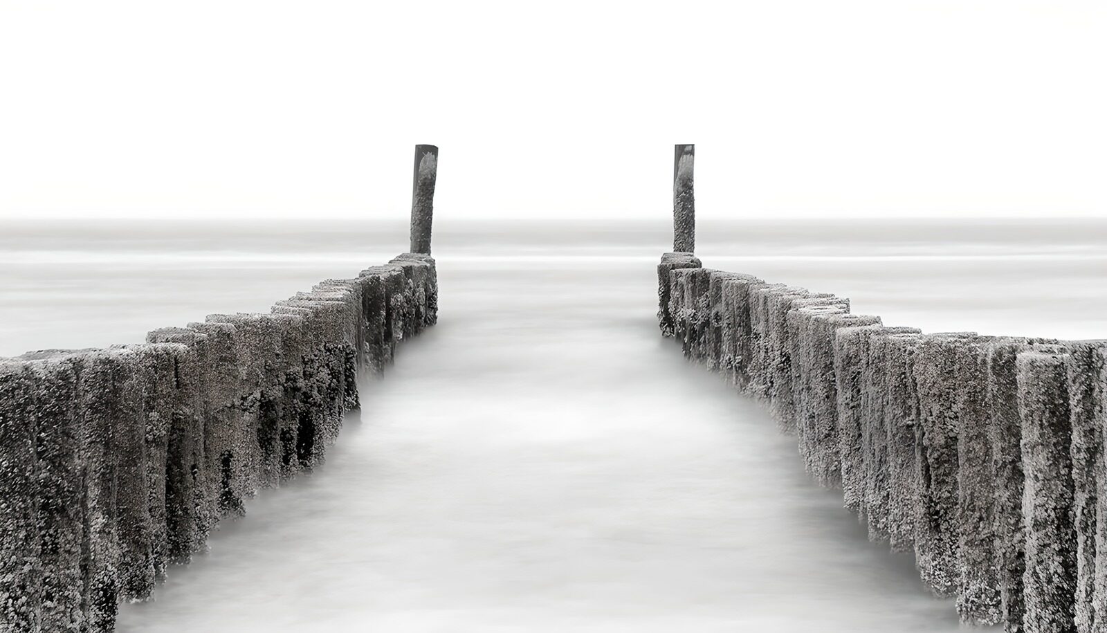 OCCOM6083968: Tranquil Seascape: Pathway to the Horizon