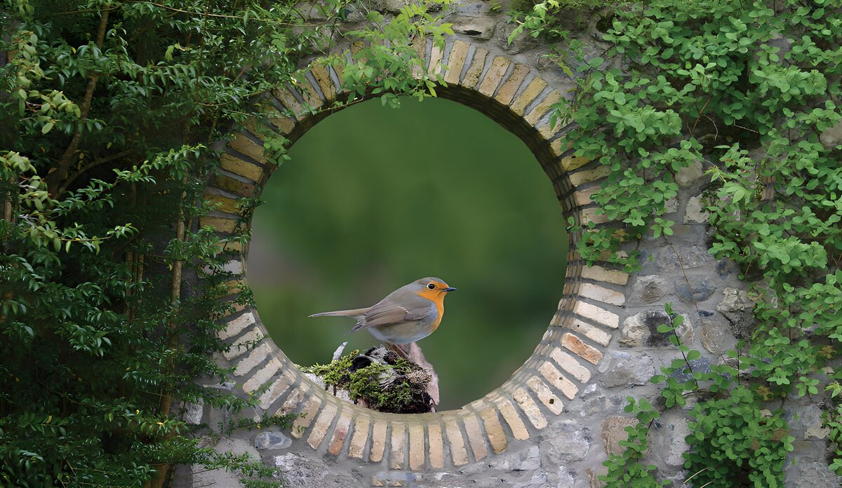 OCCOM6422573: Bird in a Scenic Archway