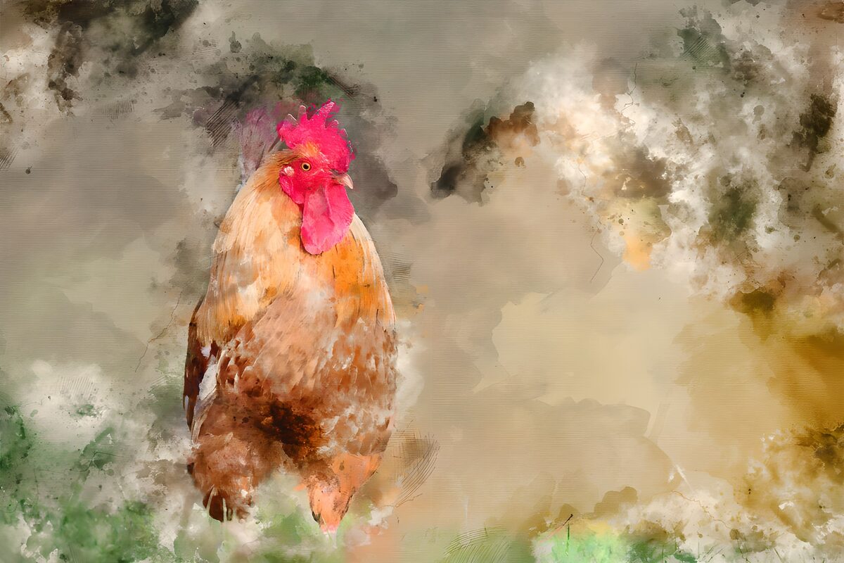 Majestic Rooster in Abstract Art