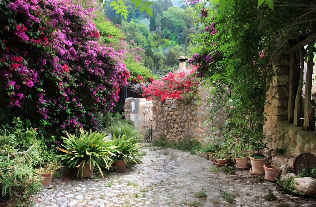 Lush Garden Pathway Under Blooming Vines