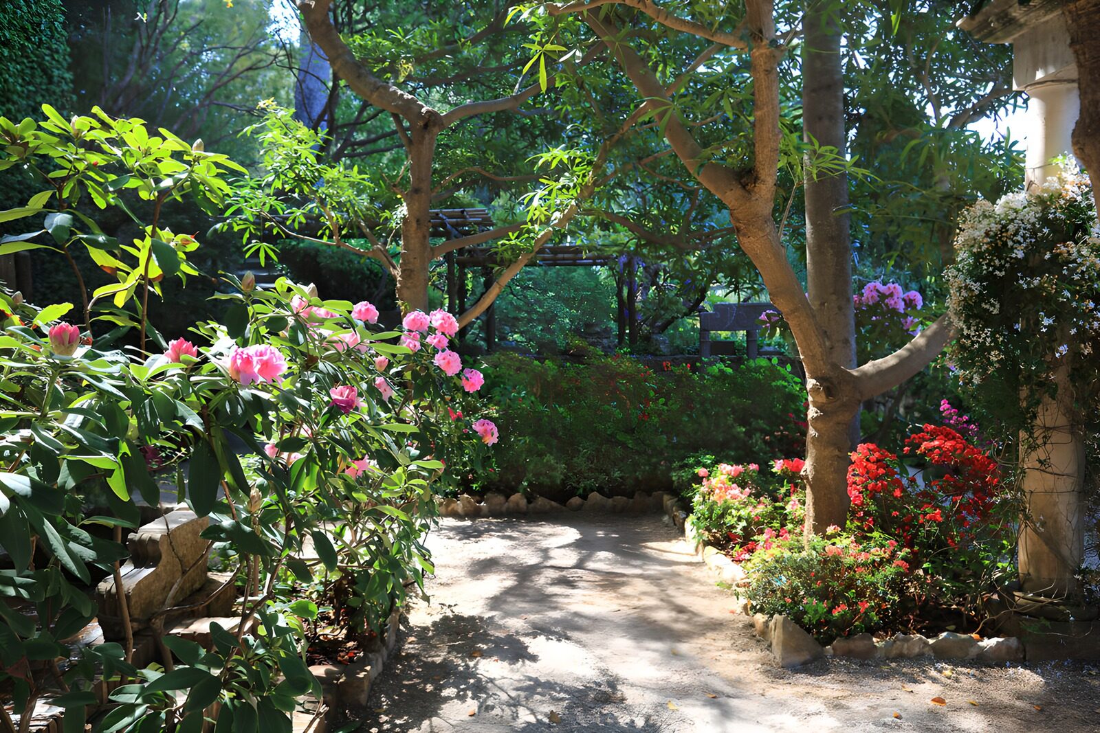 OCCOM8203564: Serene Garden Pathway