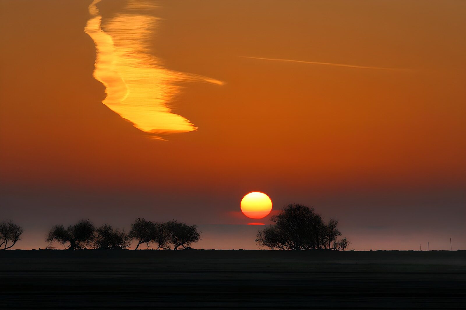 OCCOM8835361: Captivating Sunset Over Tranquil Landscape