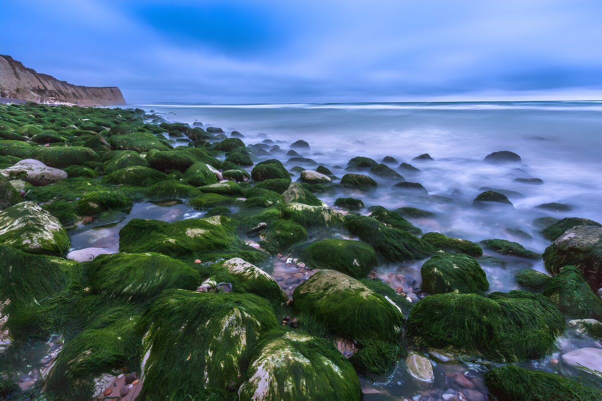 OCCOM5416506: Tranquil Coastal Tide Pools