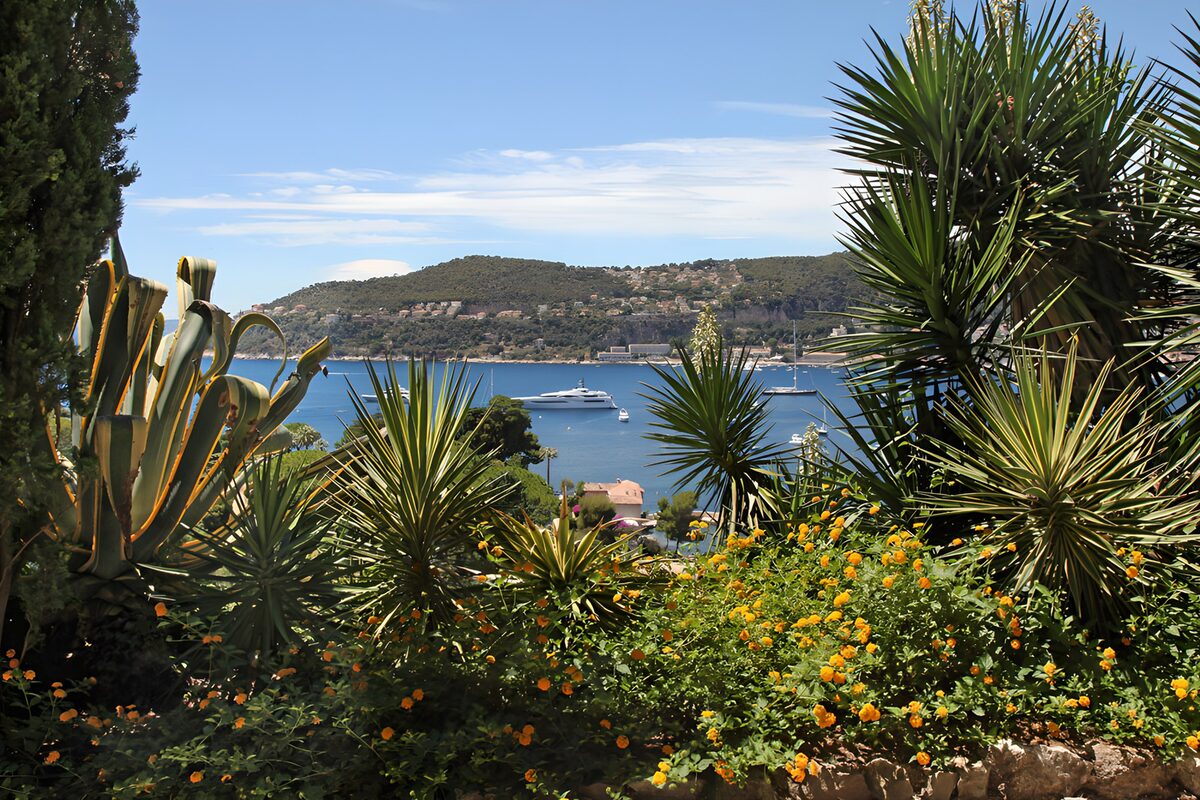 Serene Coastal View Surrounded by Flora