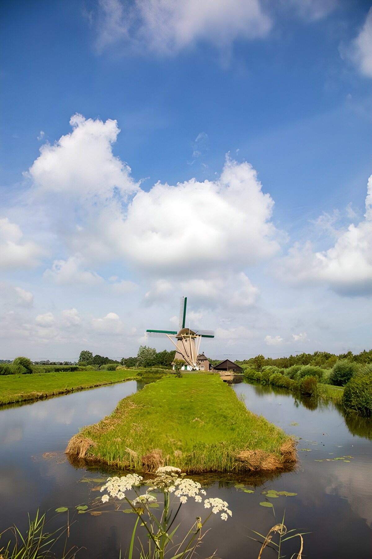 OCCOM5853810: Serene Dutch Windmill Reflected in Water