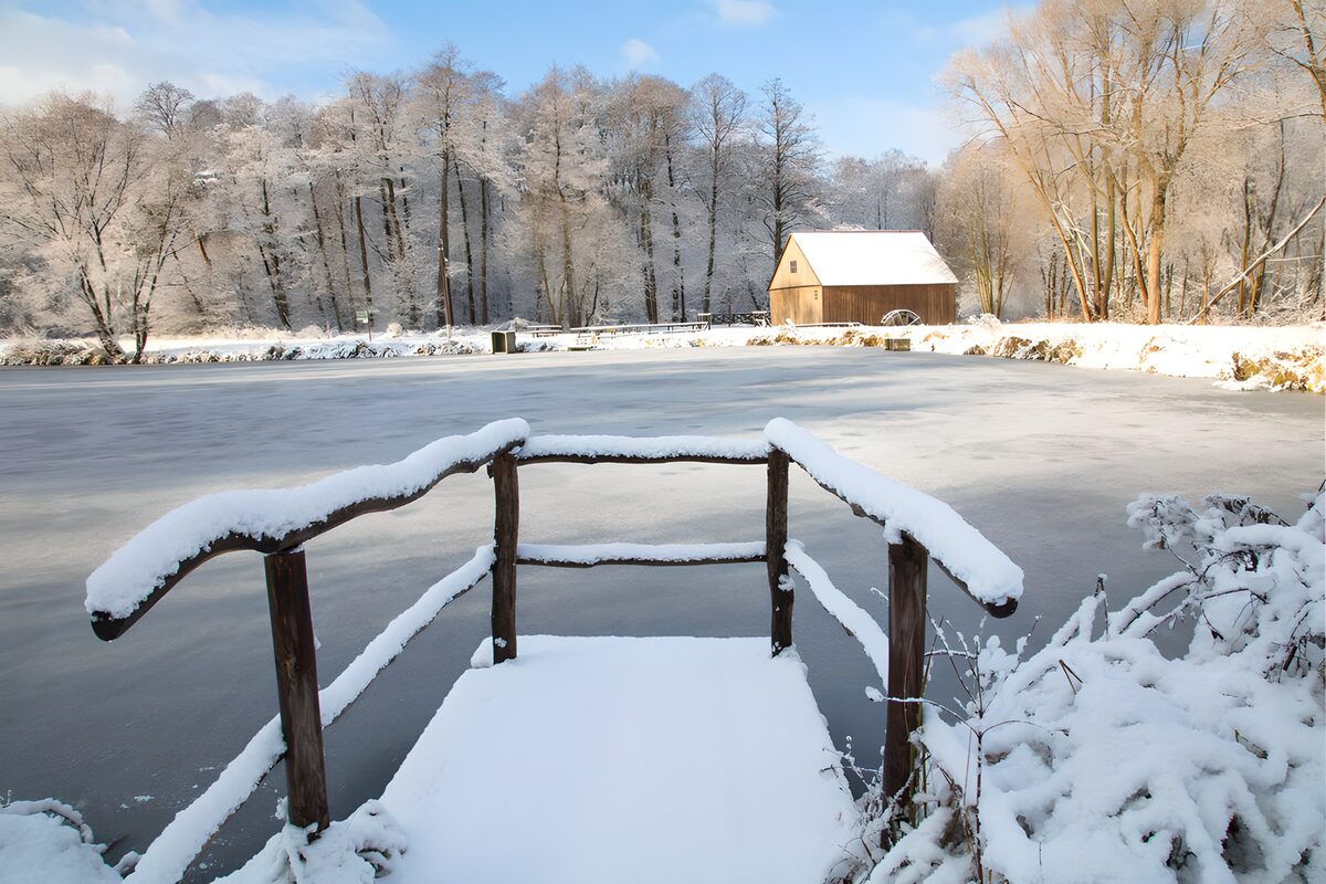 Winter Wonderland by the Frozen Pond