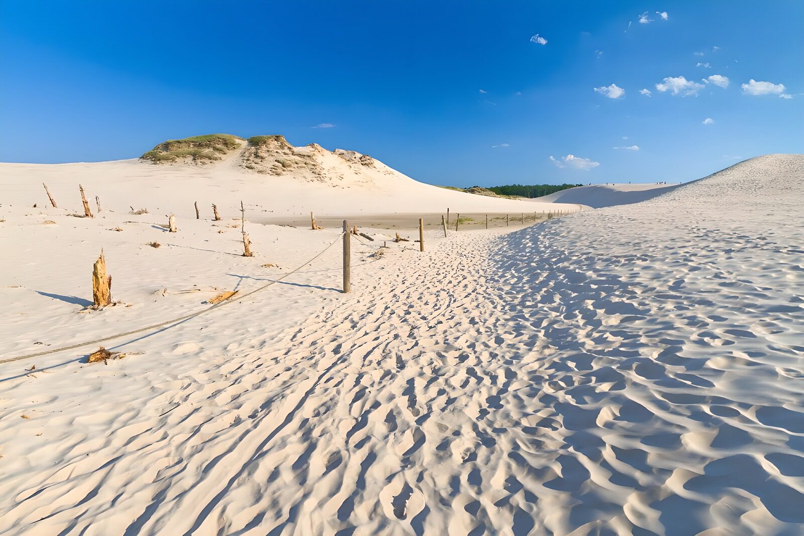 OCCOM9281344: Serene Sandy Dunes Under Blue Skies