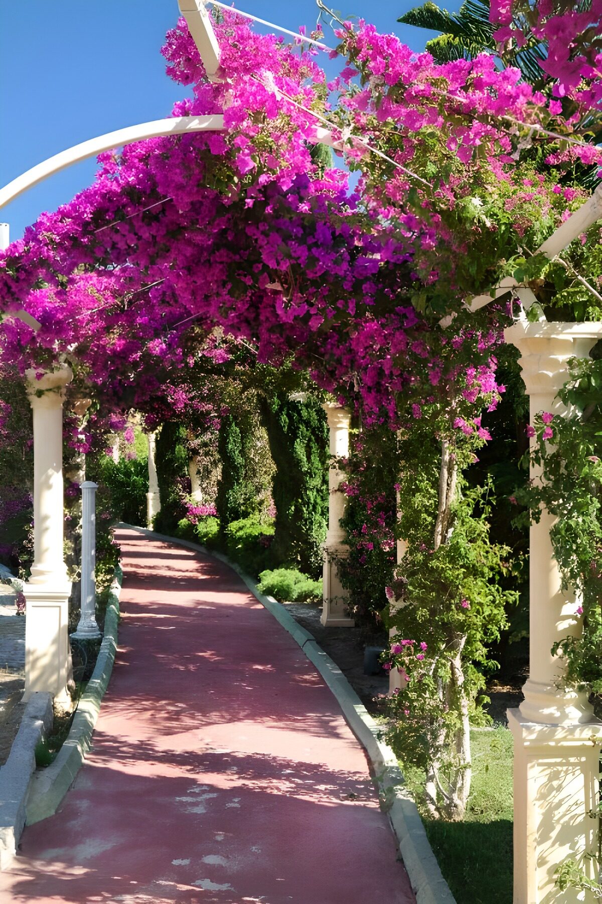 OCCOM6949410: Enchanted Garden Pathway