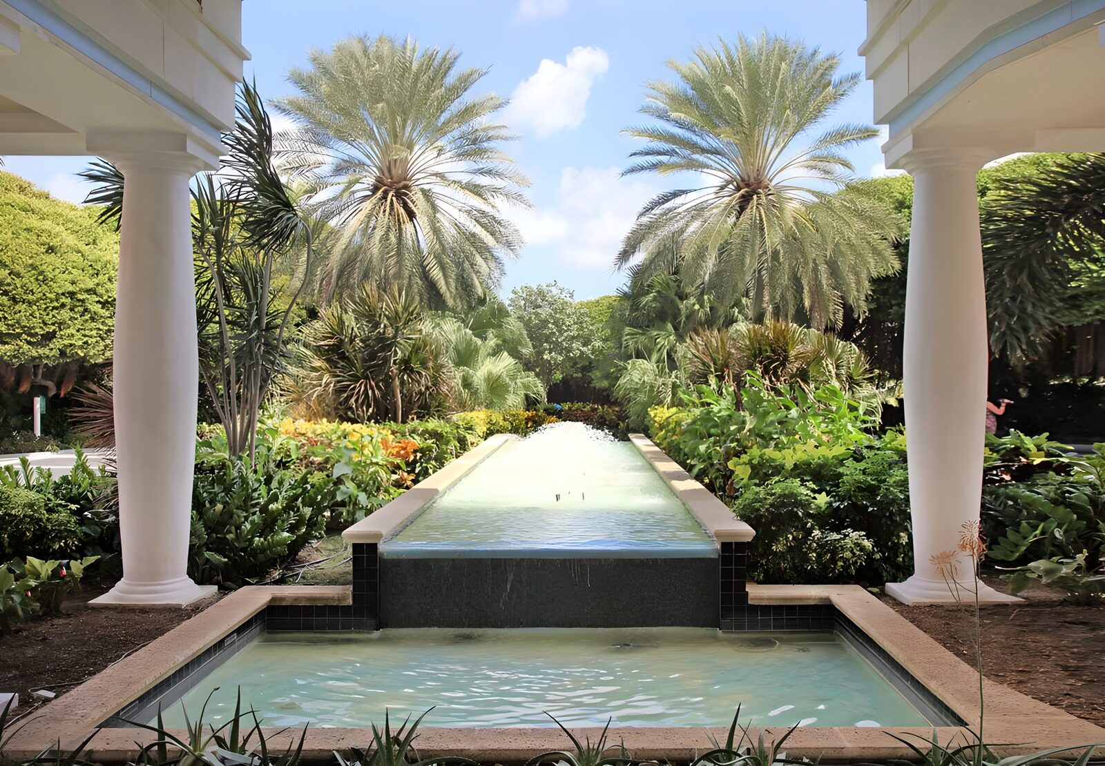 OCCOM3938965: Serene Tropical Oasis