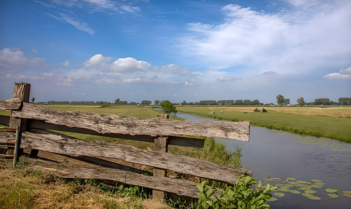 Tranquil Countryside Landscape