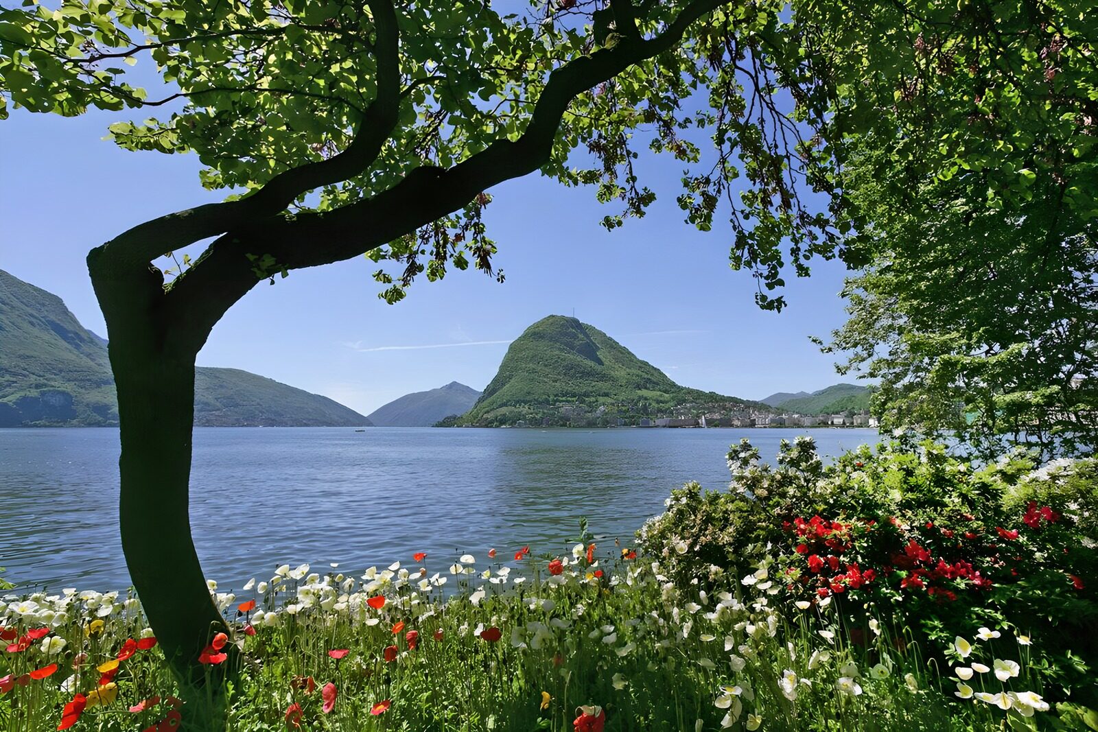 OCCOM7758883: Tranquil Lake View Surrounded by Nature