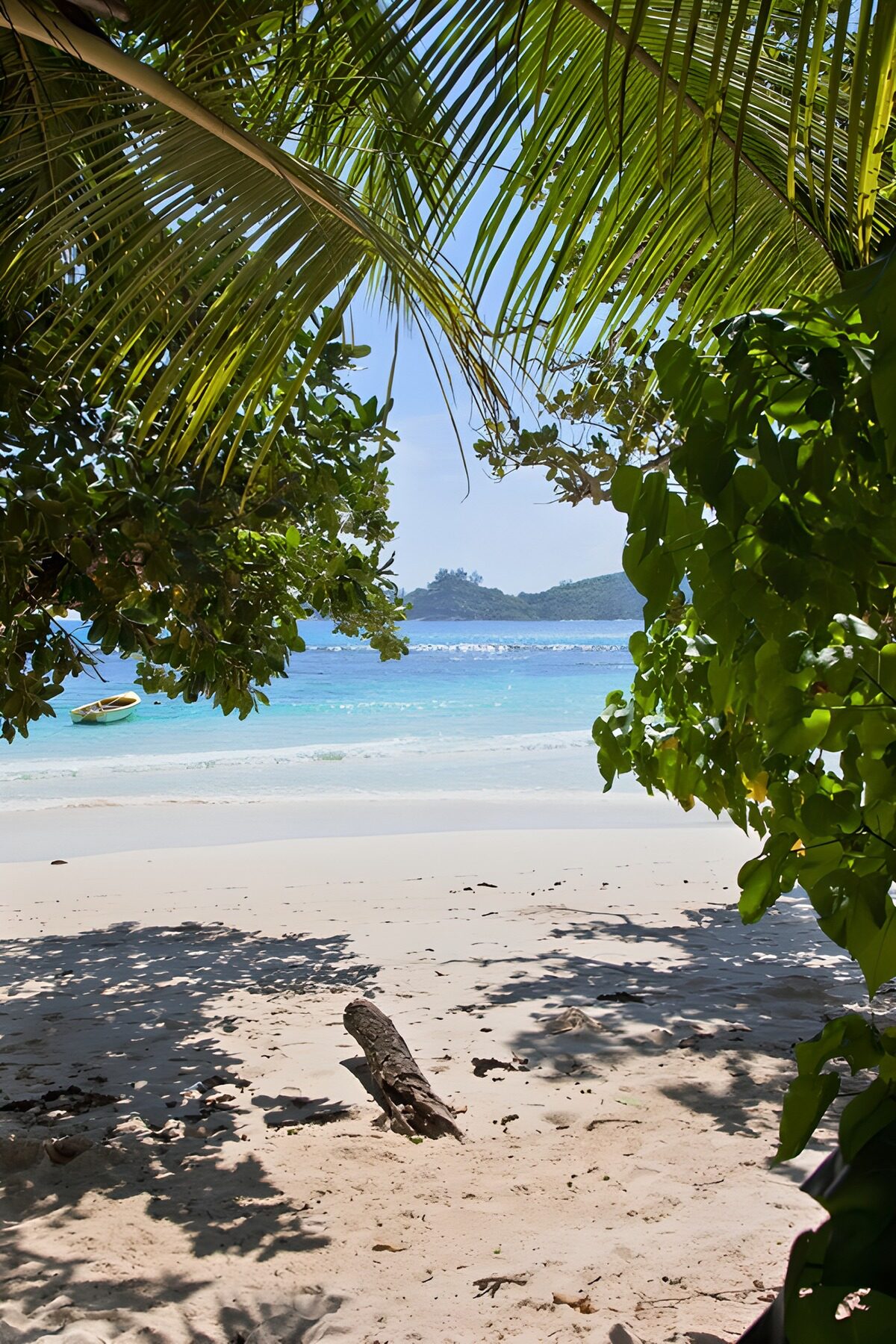 Serene Beach Escape through Lush Foliage