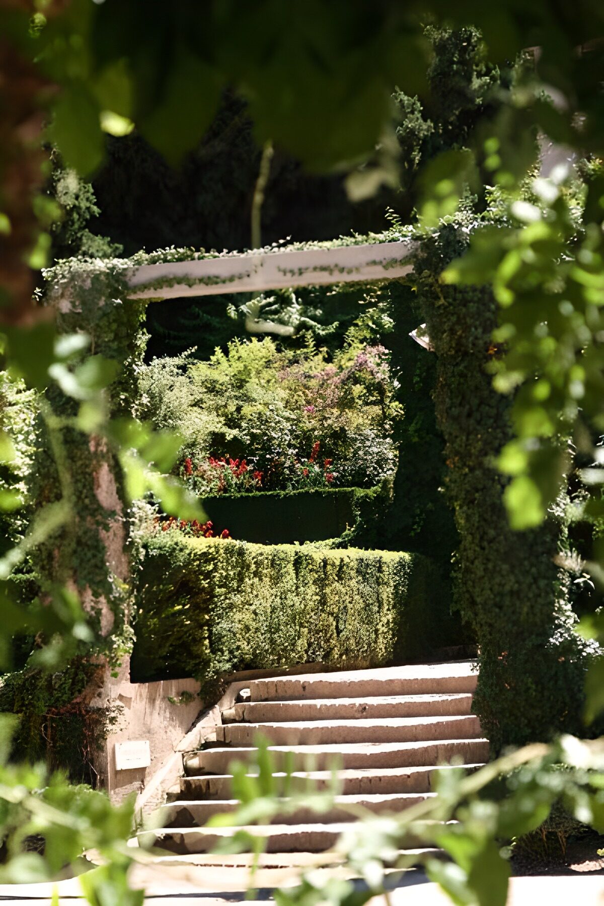 Enchanted Garden Pathway