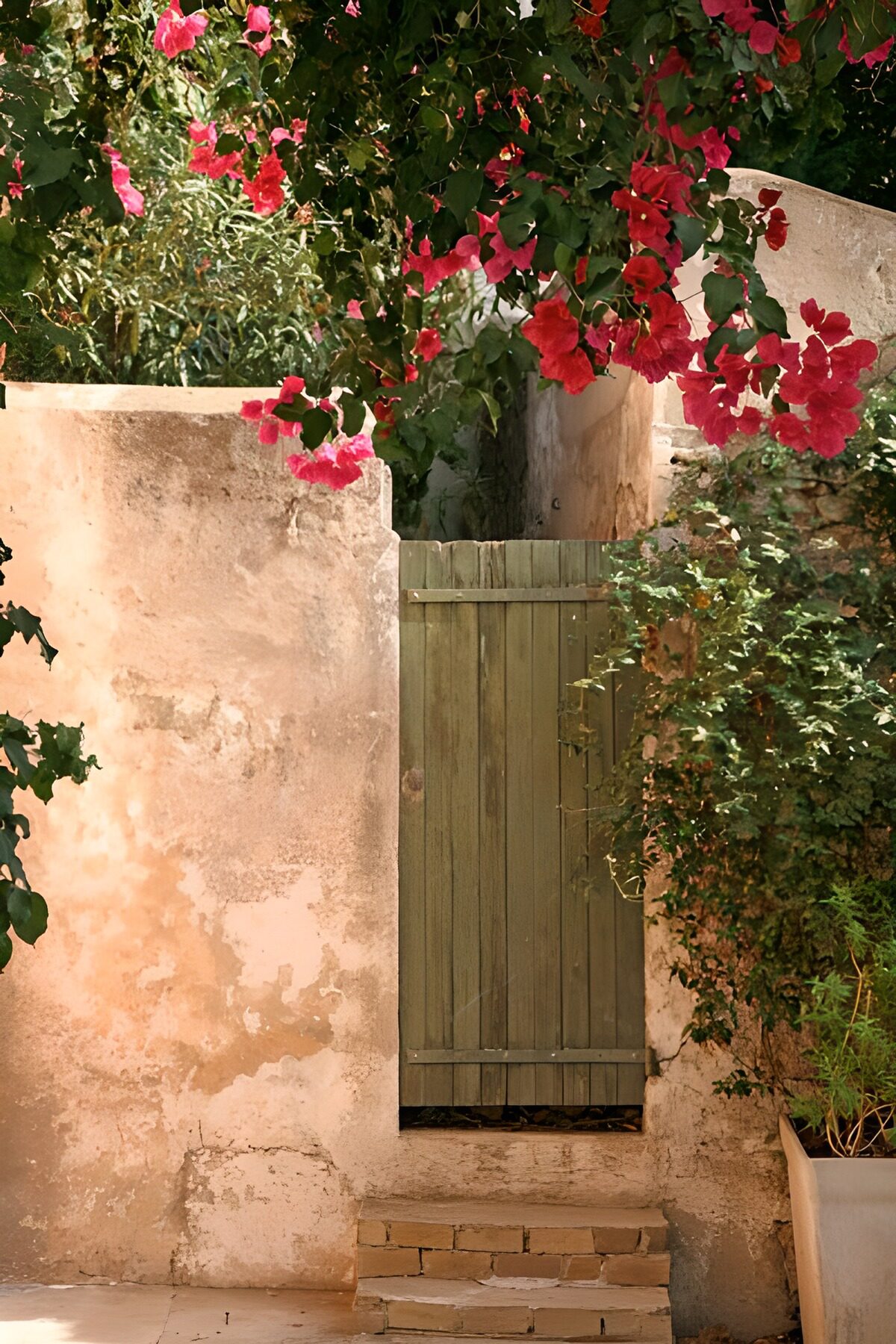 OCCOM4781379: Hidden Green Door Amidst Bougainvillea