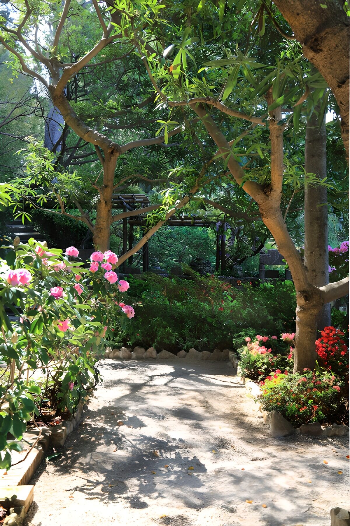 Serene Garden Pathway