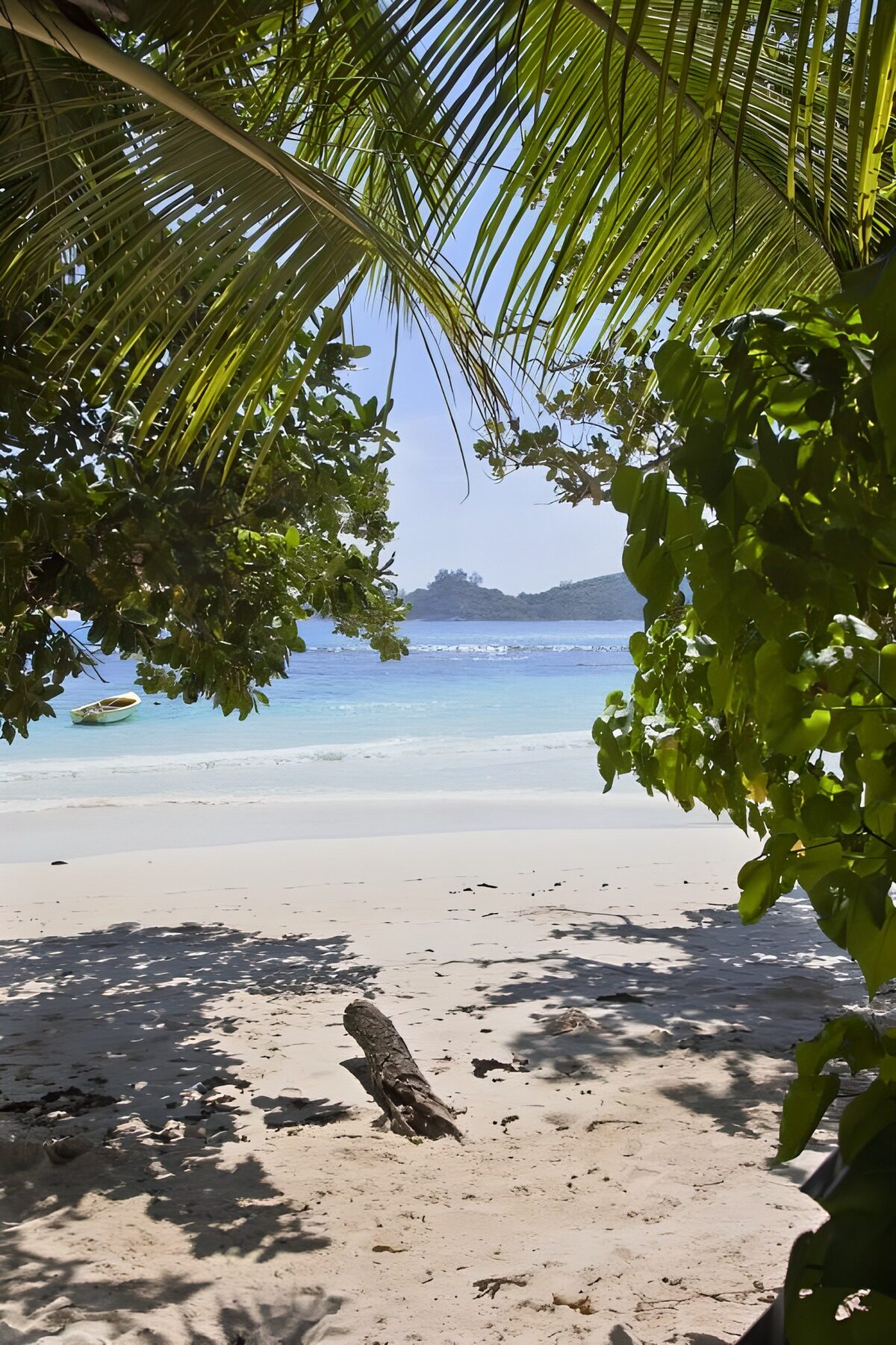 Tropical Beach Paradise