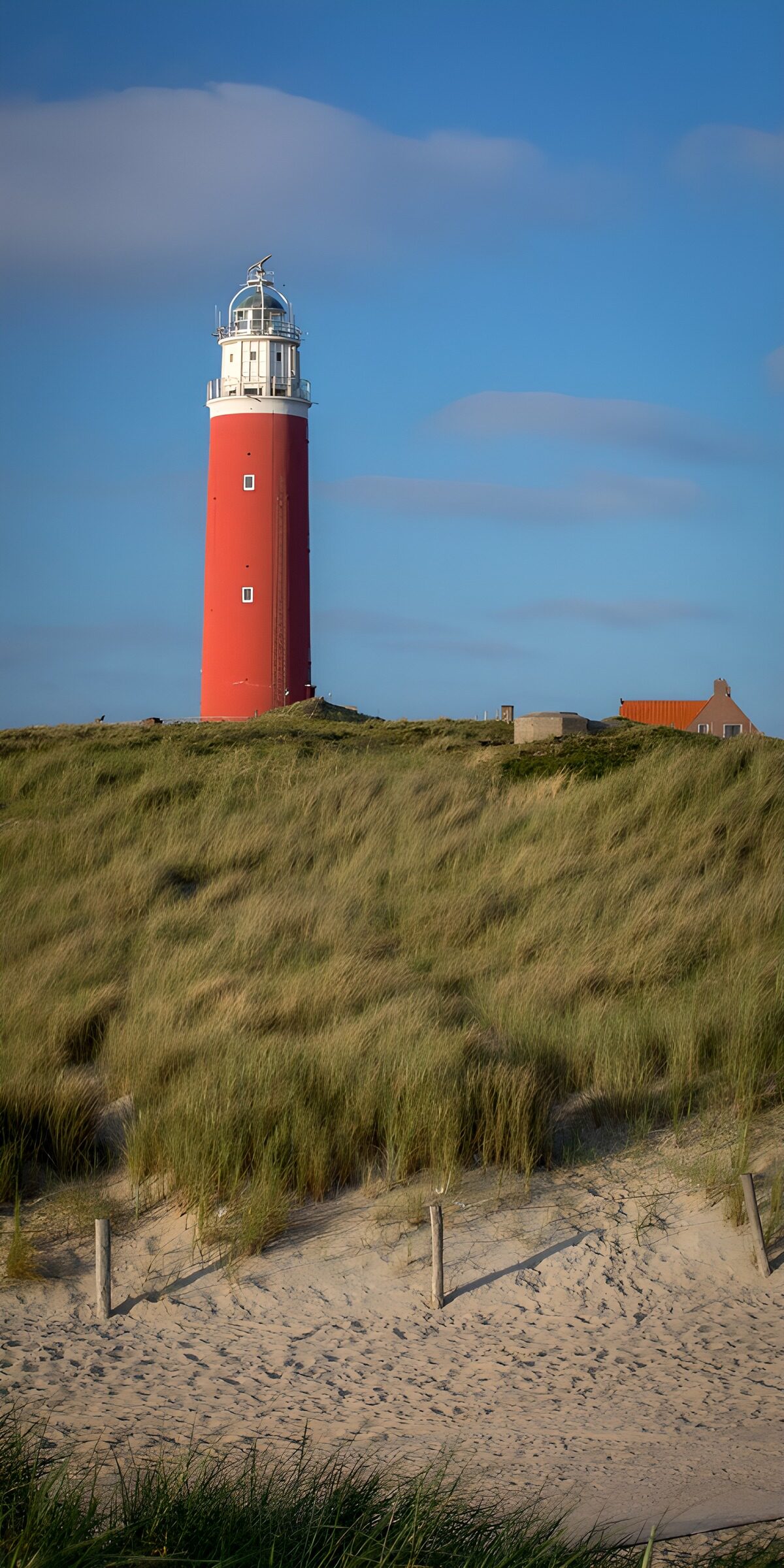 OCCOM8579744: Bright Red Beacon by the Dunes