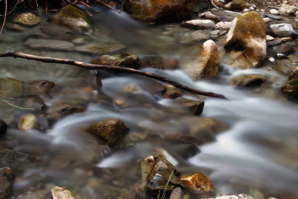 Tranquil Stream Flowing Over Stones