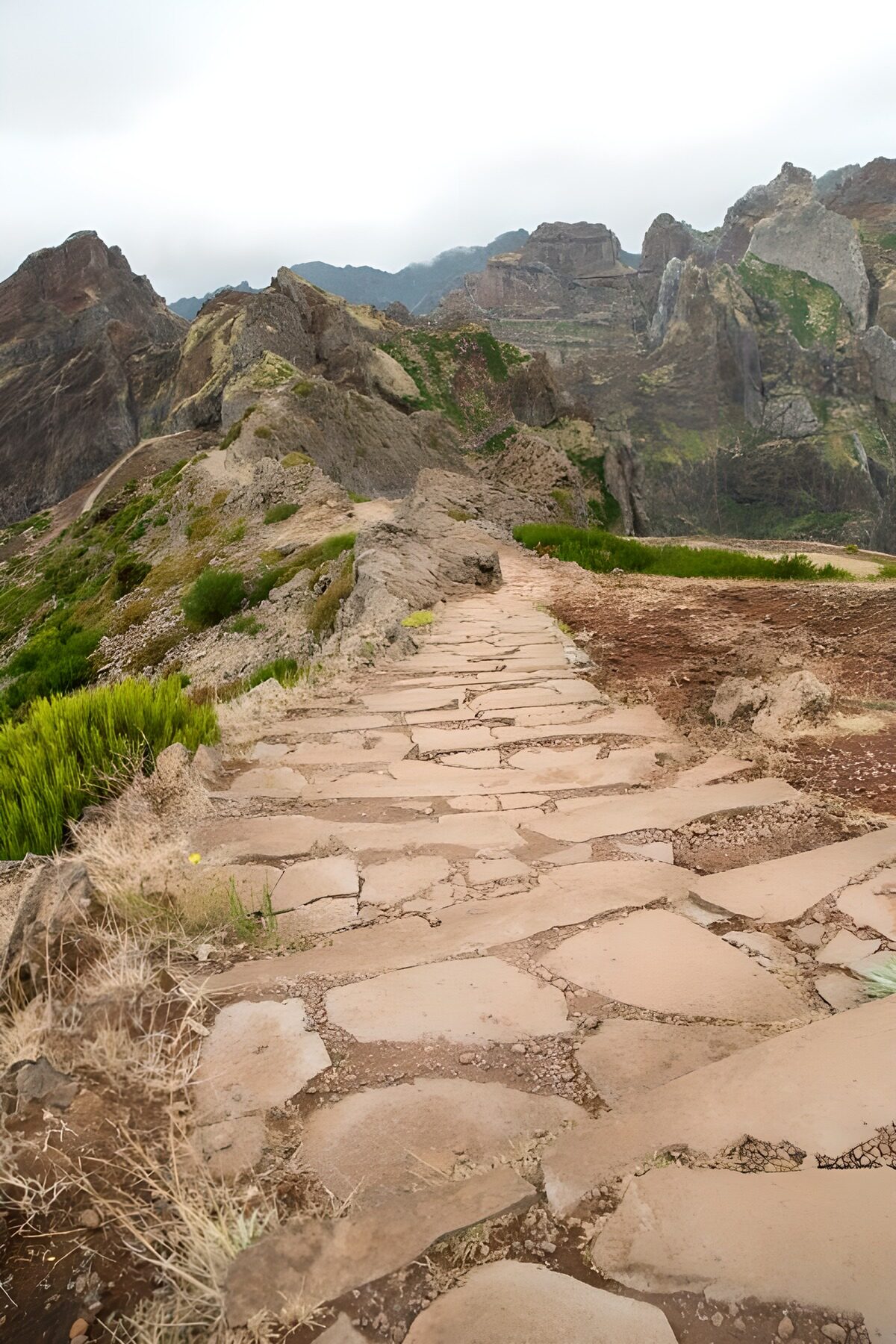 OCCOM9265993: Serene Mountain Pathway