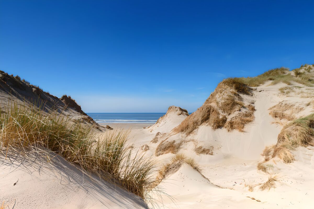 Serene Coastal Dunes Under Clear Blue Sky