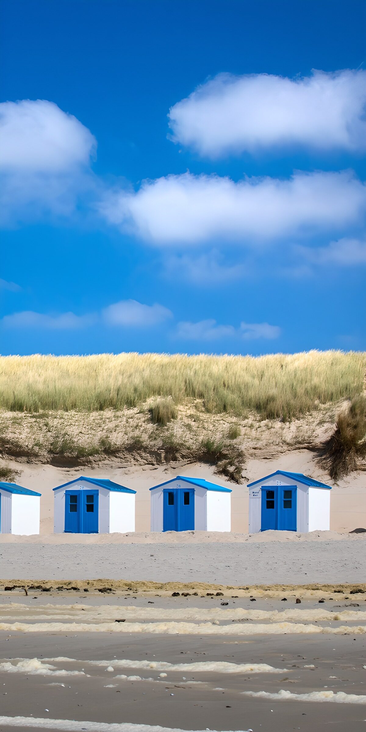 OCCOM8111784: Coastal Beach Huts Under a Blue Sky