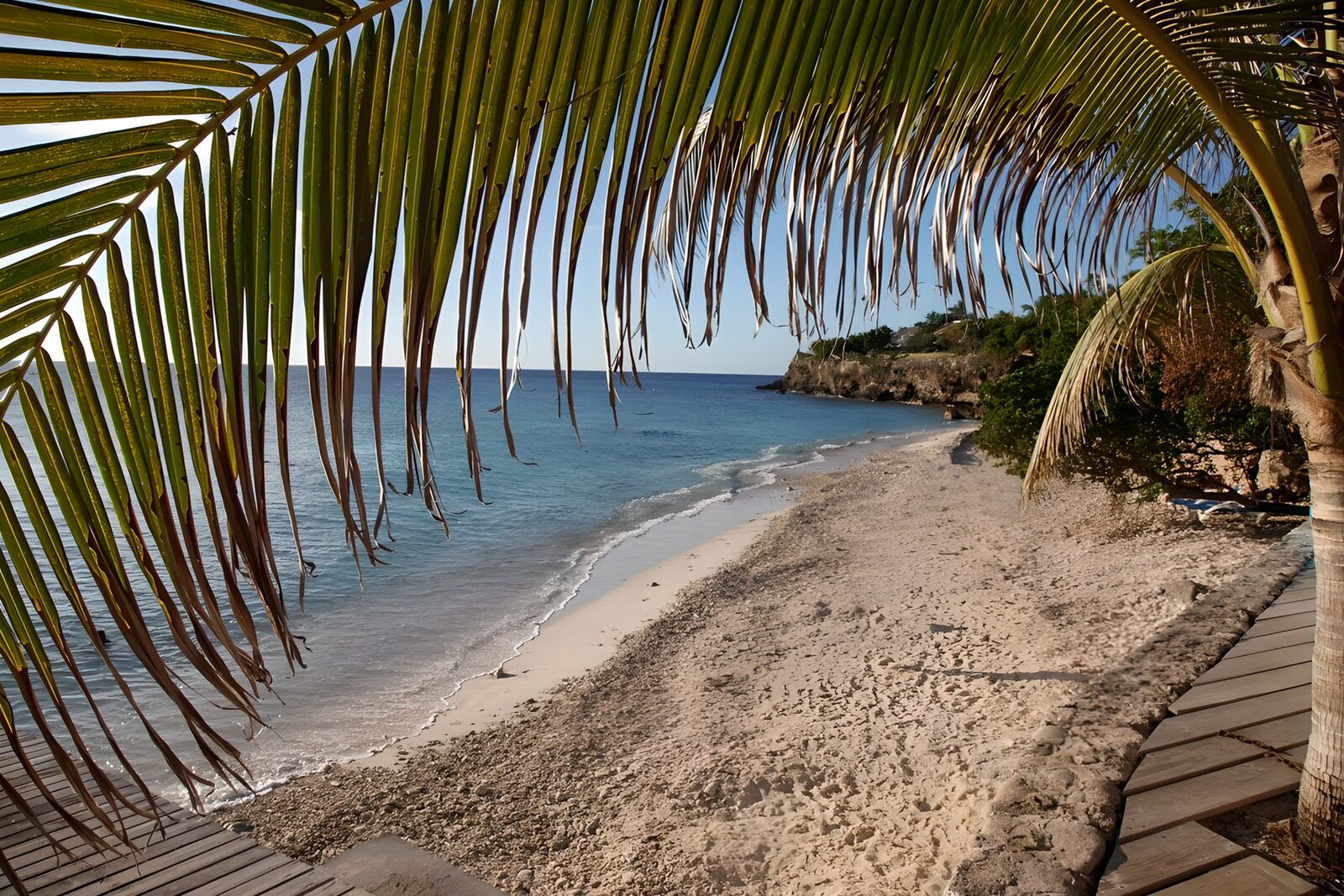 OCCOM1286359: Serenity by the Shoreline