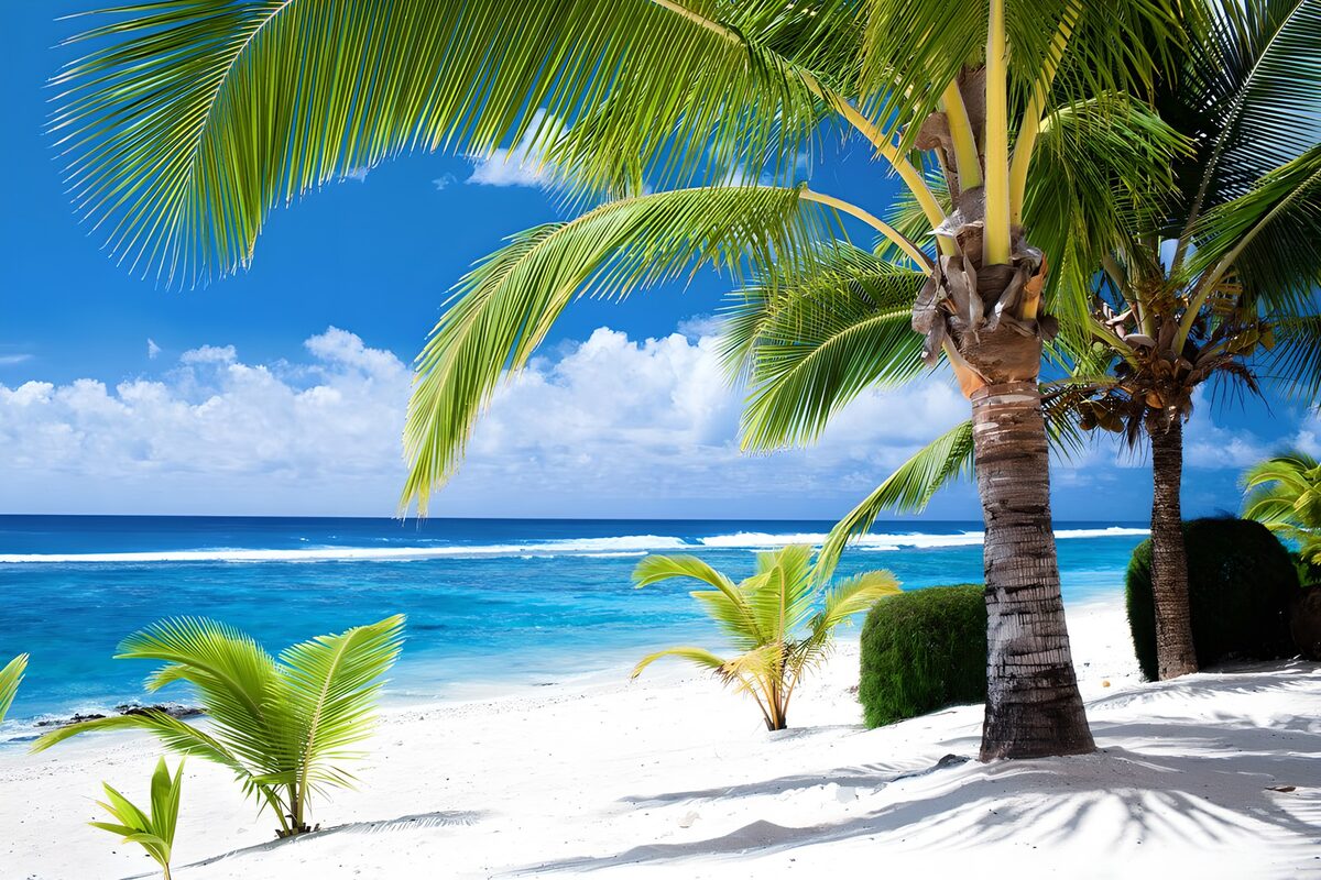 OCCOM5081530: Tropical Paradise by the Sea