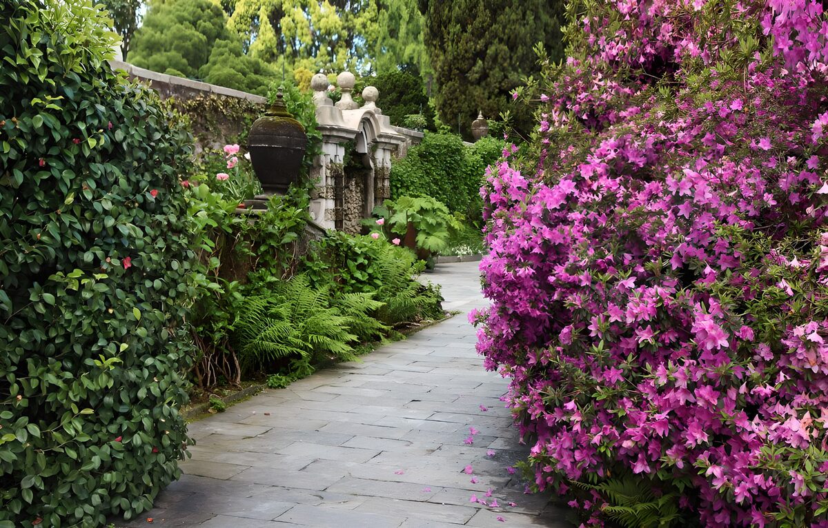 OCCOM5813951: Lush Garden Pathway in Bloom