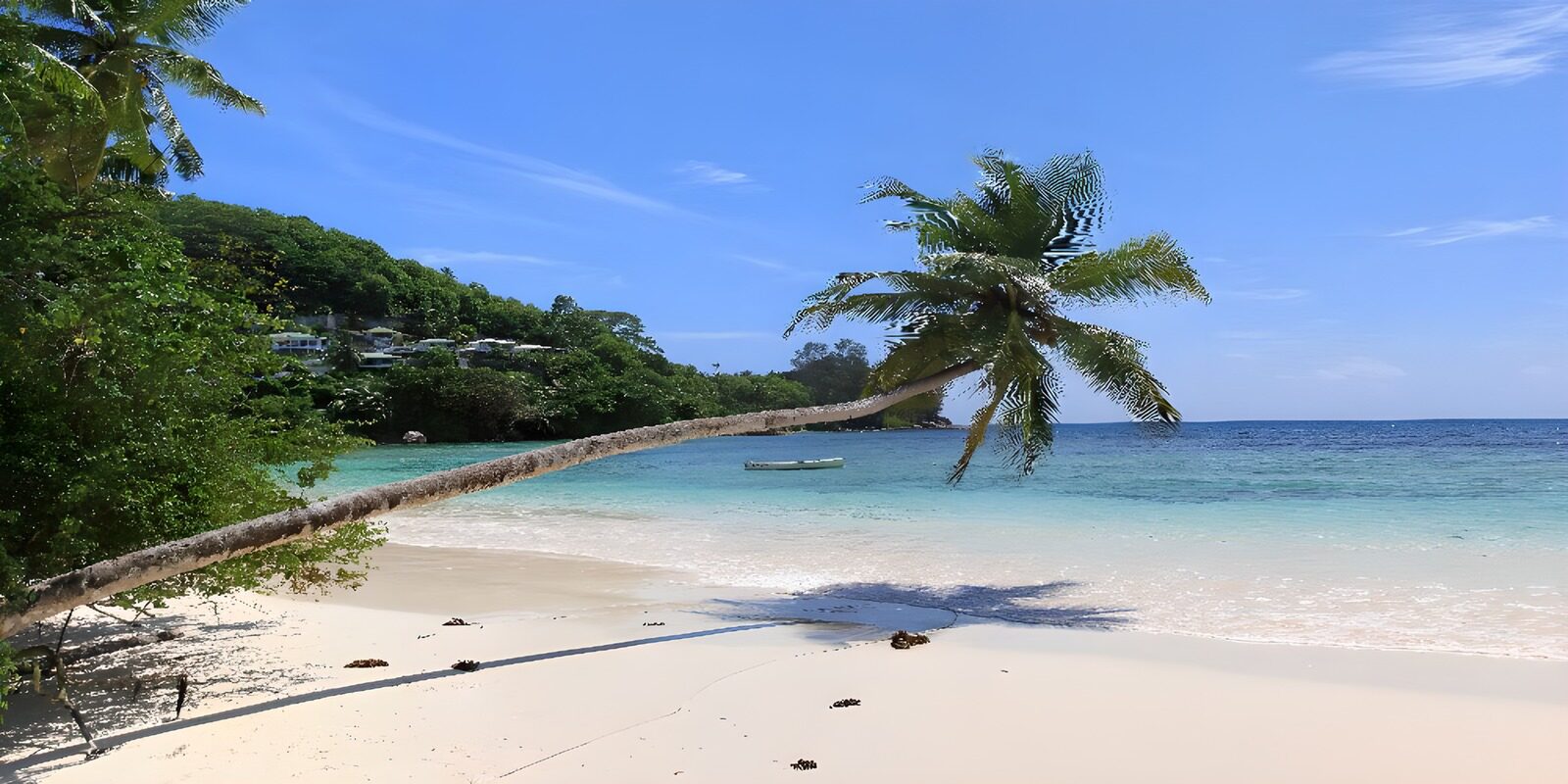 OCCOM8258291: Tropical Beach Bliss