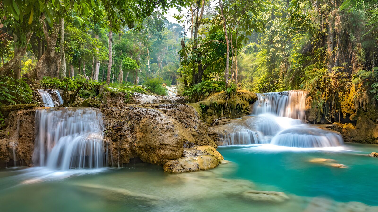 OCCOM5756970: Serene Waterfalls in Lush Forest