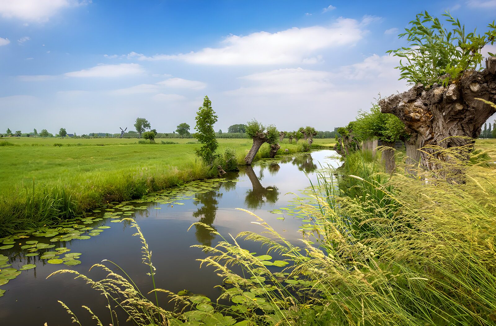 OCCOM6994407: Serene Waterscape with Lush Greenery