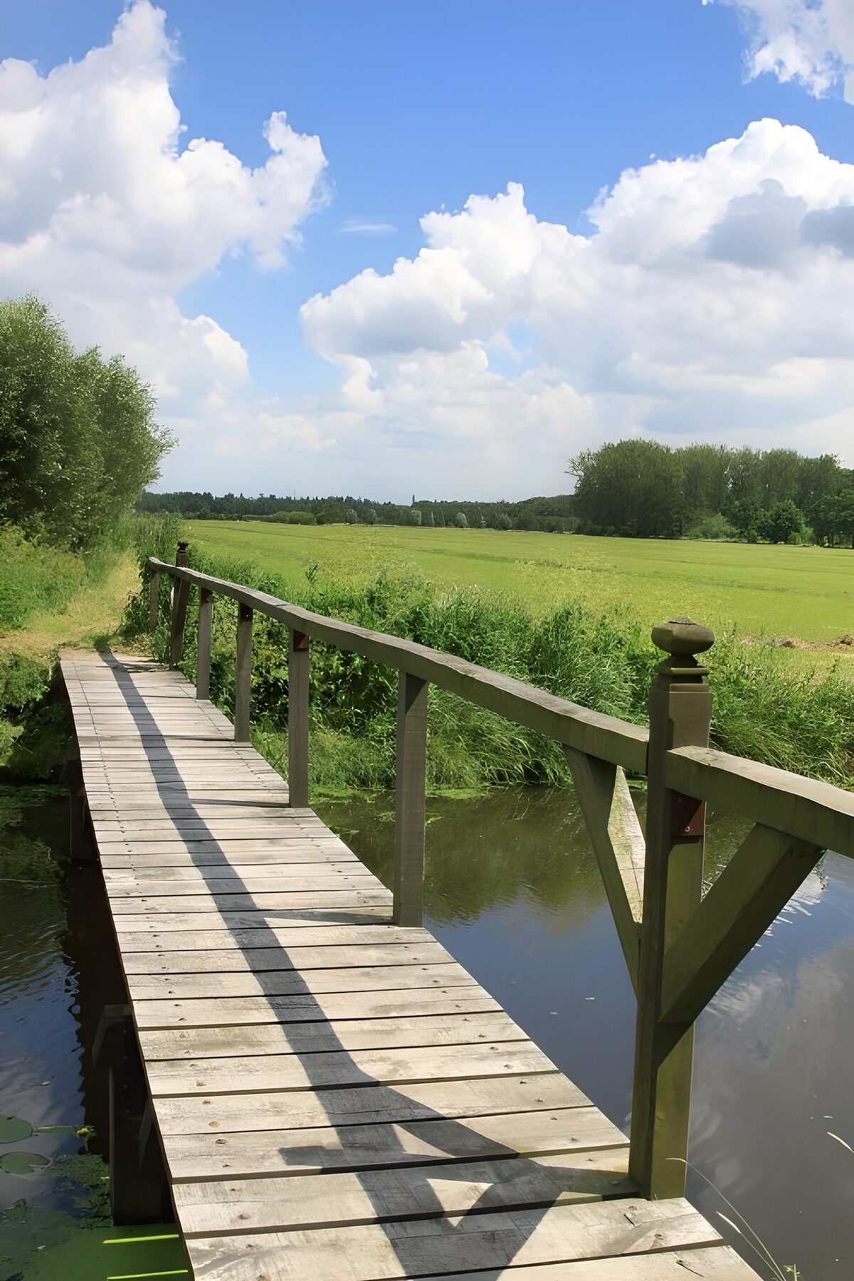 Tranquil Wooden Bridge Over Water