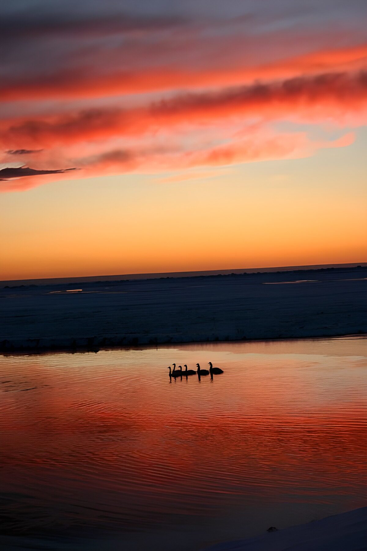 OCCOM5695695: Serene Sunset Over Tranquil Waters