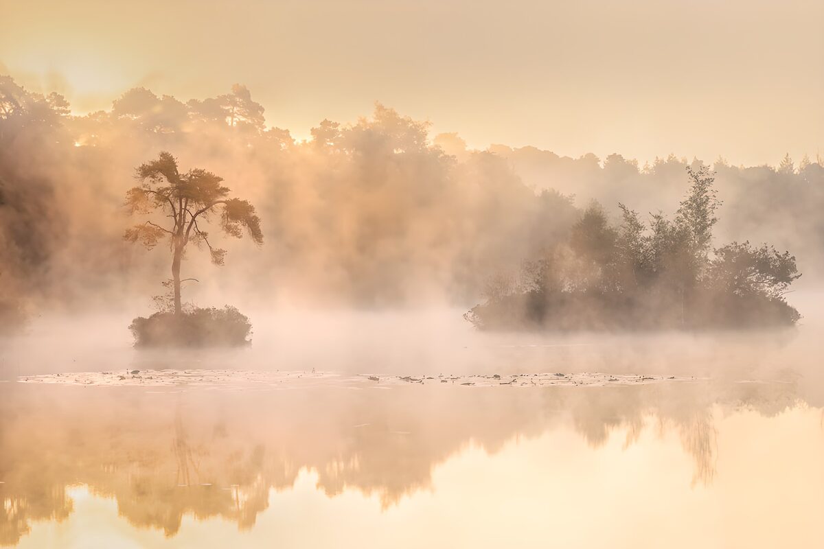 Misty Dawn Over Tranquil Waters