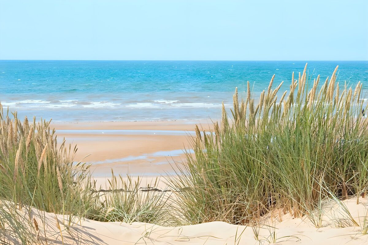 OCCOM8986559: Tranquil Coastal Landscape