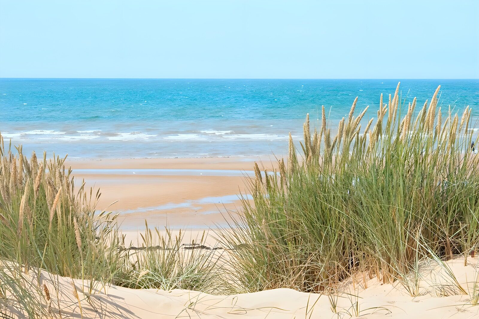 OCCOM8986559: Tranquil Coastal Landscape