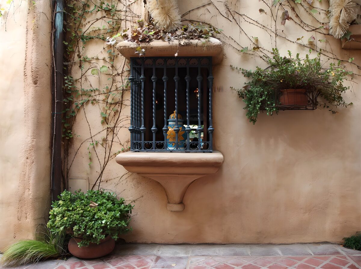 Charming Window with Plants