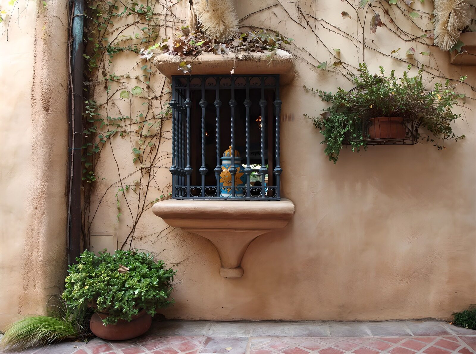 OCCOM8472931: Charming Window with Plants