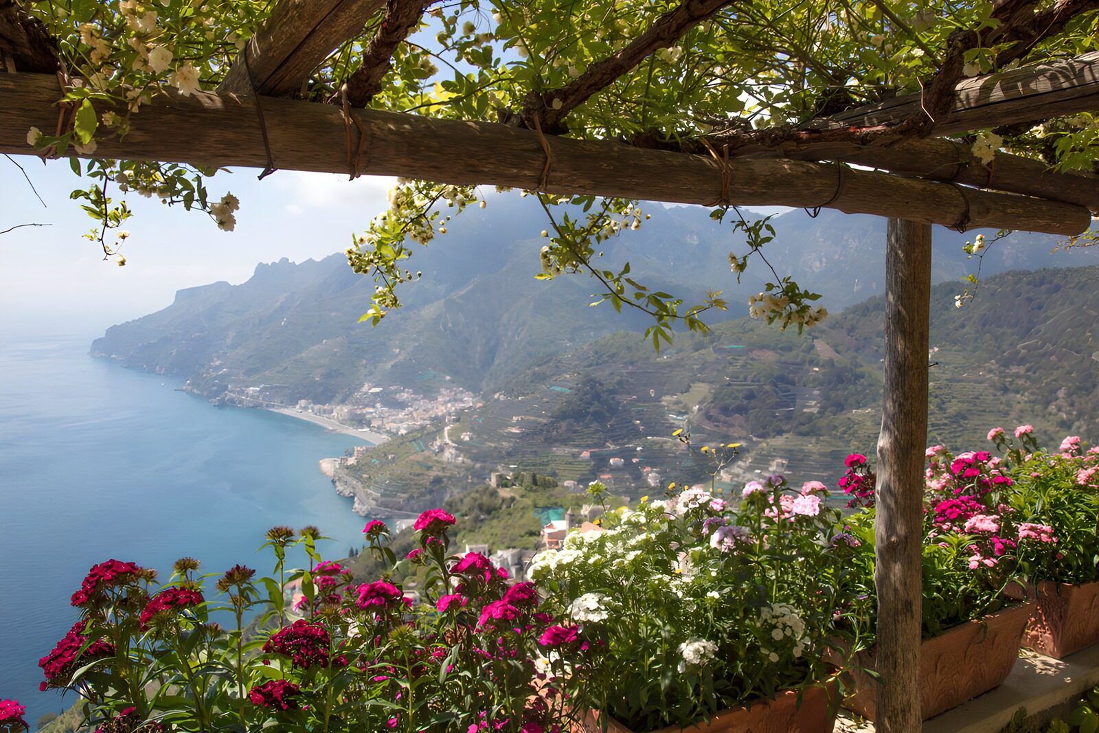 OCCOM6923102: Scenic Coastal View with Flowers