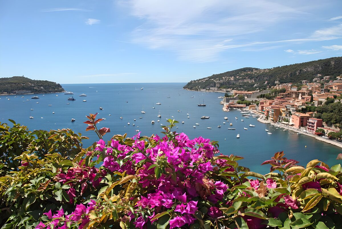 OCCOM3451819: Serene Coastal View with Bougainvillea