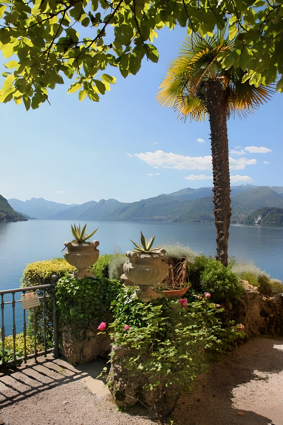 Serene Lake View with Lush Greenery