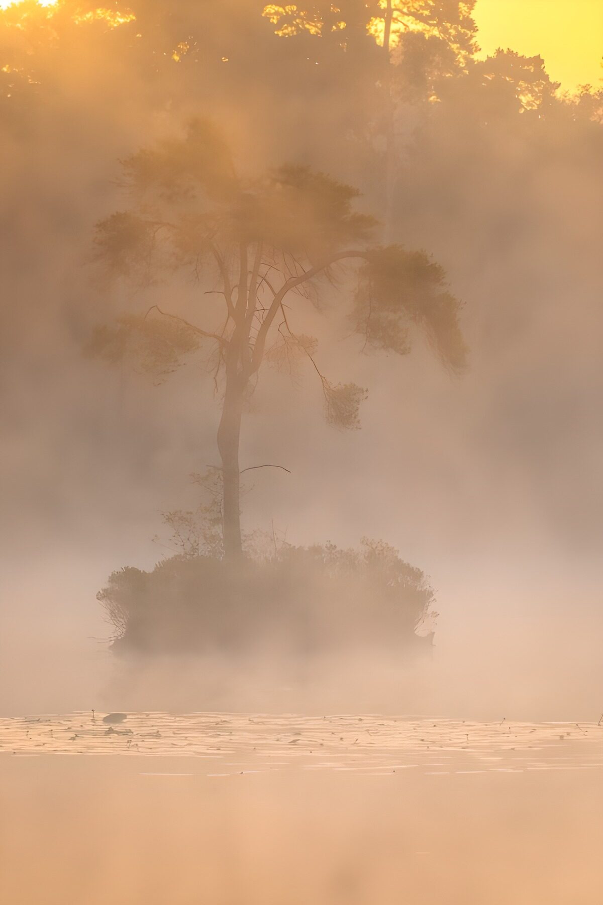 Misty Dawn Over Water