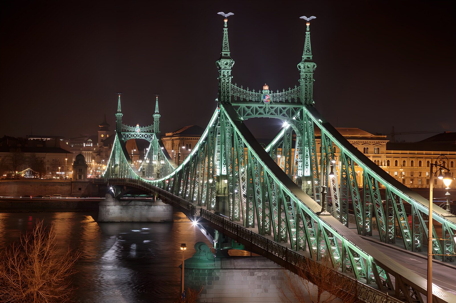 OCCOM4846127: Nighttime Beauty of the Liberty Bridge