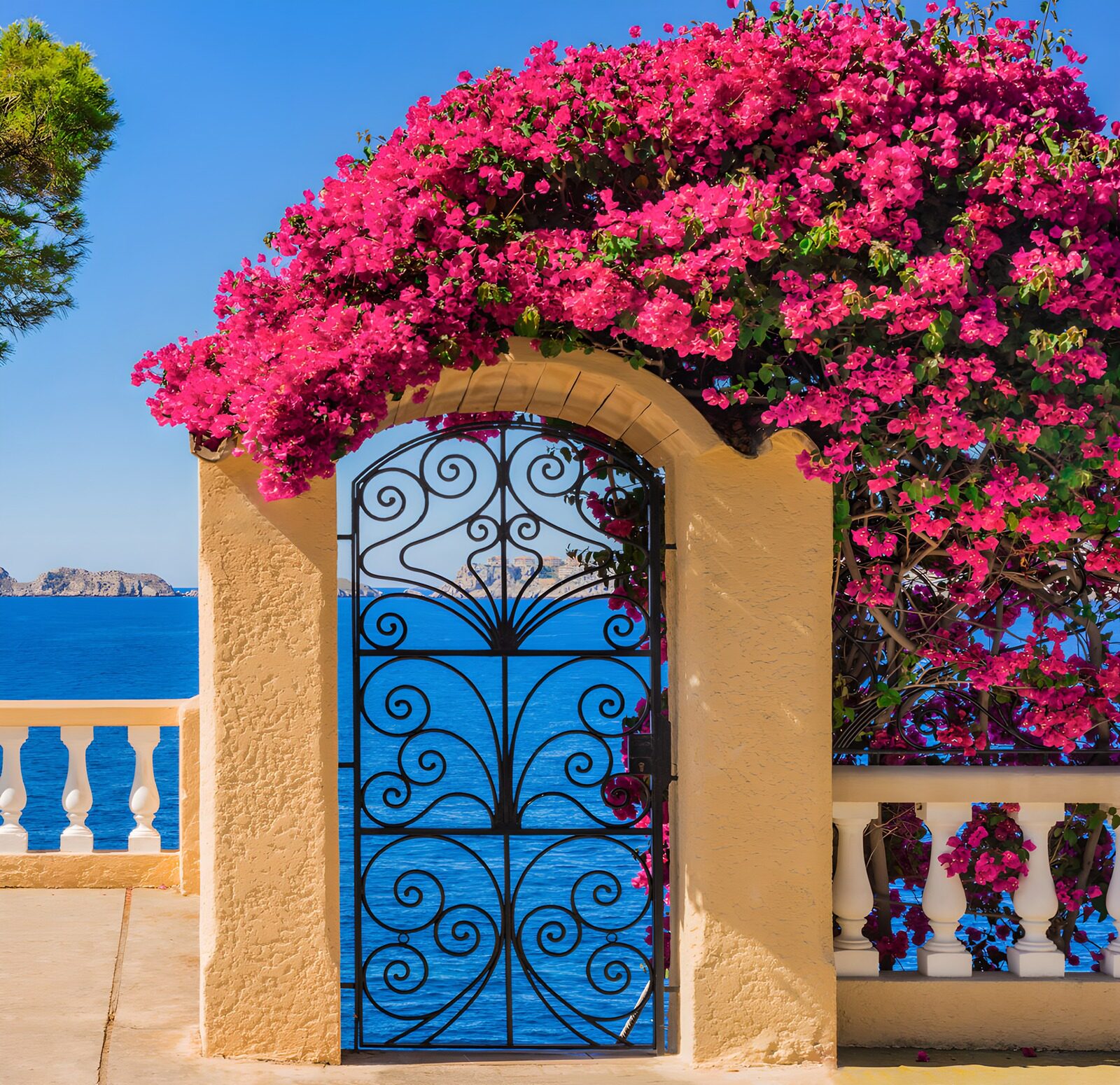 OCCOM6431283: Vibrant Gateway to the Sea