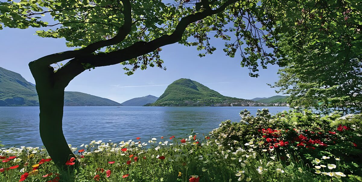 Serene Lakeview Surrounded by Nature