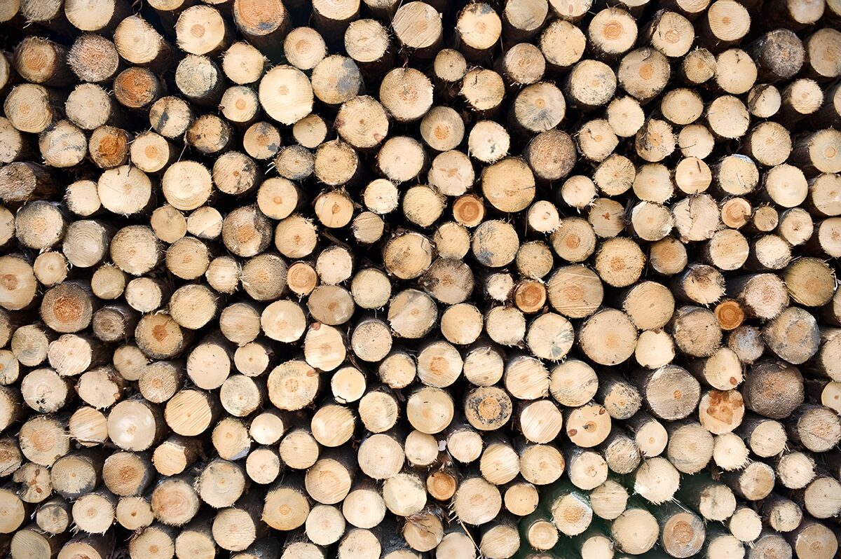 Stacked Logs in Symmetrical Harmony